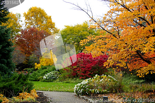 Image of Fall