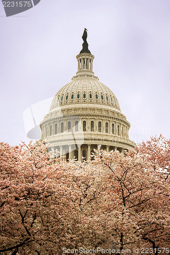 Image of The Capitol in Spring