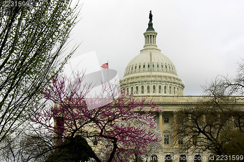 Image of The Capitol in Spring