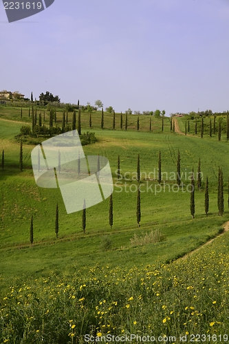 Image of Tuscany