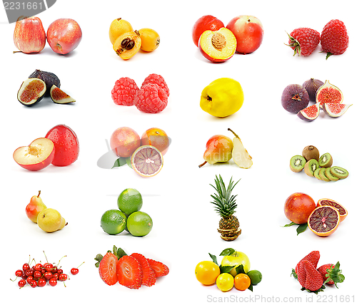 Image of Fruits Collection