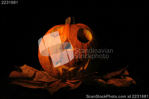 Image of halloween pumpkin 