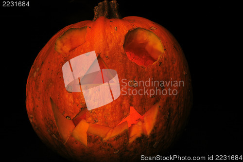 Image of halloween pumpkin 