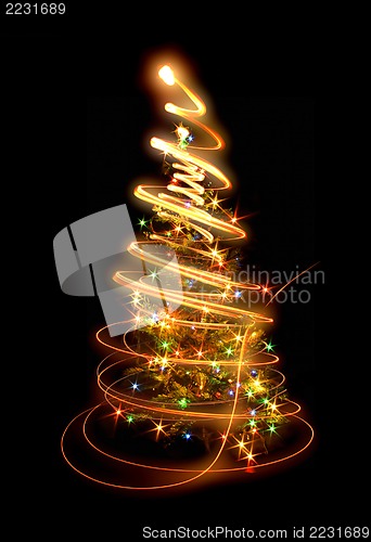Image of xmas tree