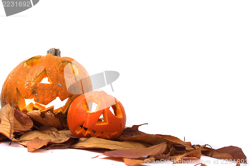 Image of halloween pumpkins