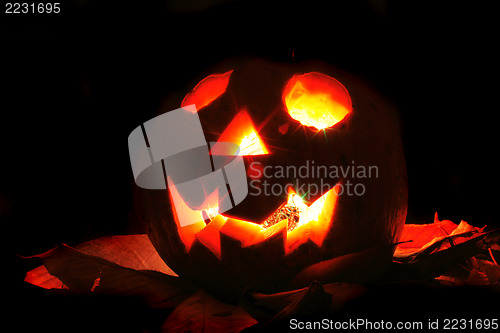 Image of halloween pumpkin 