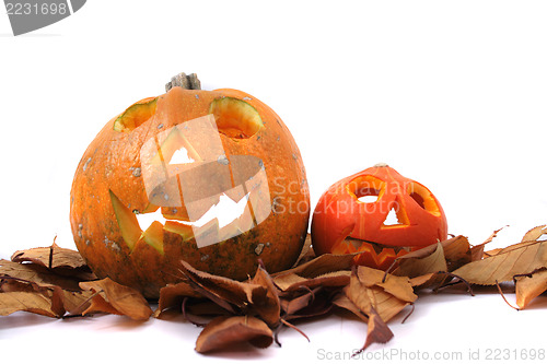 Image of halloween pumpkins