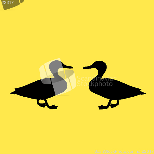 Image of Two Ducks on a yellow background