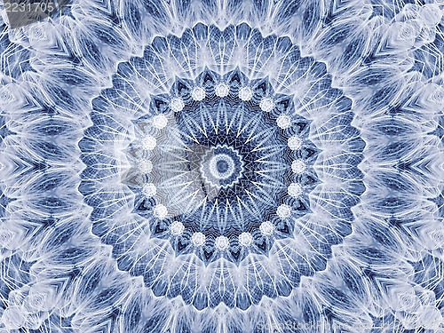 Image of Abstract radial pattern of natural large dandelion flower 