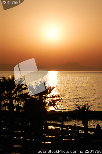 Image of Sunset and palms