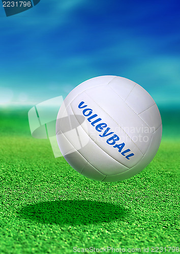 Image of volleyball on green ground