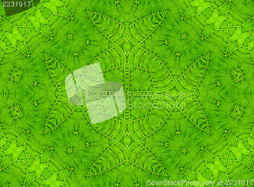 Image of Green leaf abstract pattern