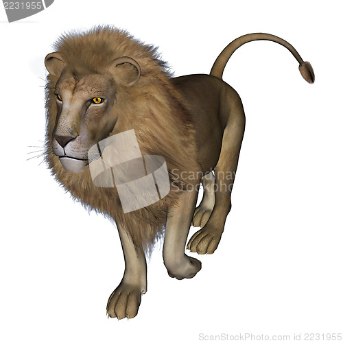 Image of Lion