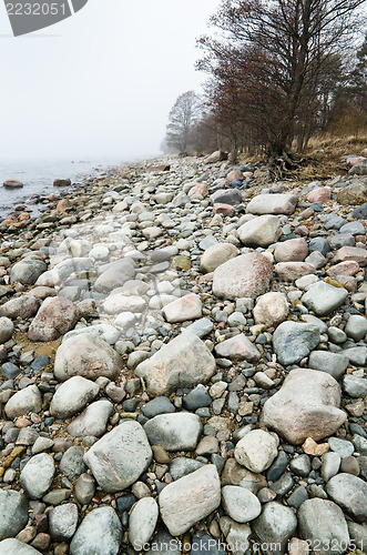 Image of Coast of Baltic sea in a fog