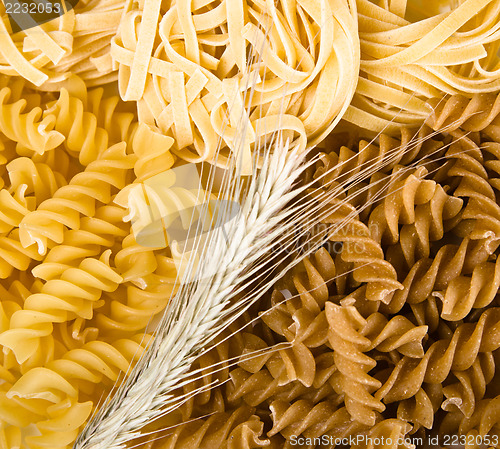 Image of set of different pasta, close-up 
