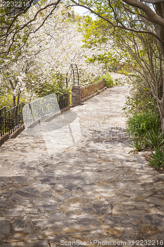 Image of Beautiful Lush Park Walkway