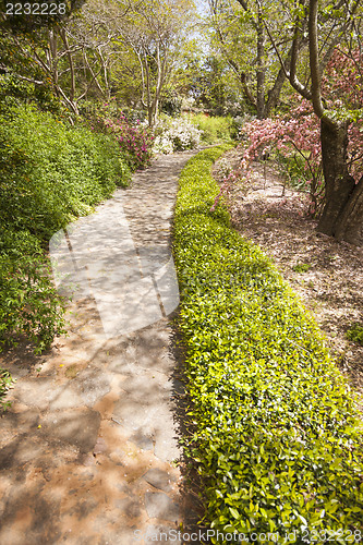 Image of Beautiful Lush Park Walkway