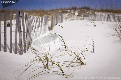 Image of Sand Dunes and Fence at the Beach