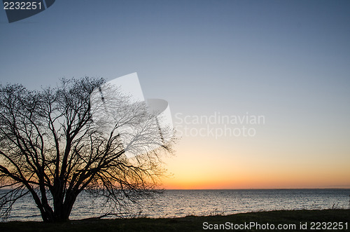 Image of Evening light