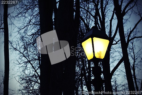 Image of Street light and silhouettes of trees