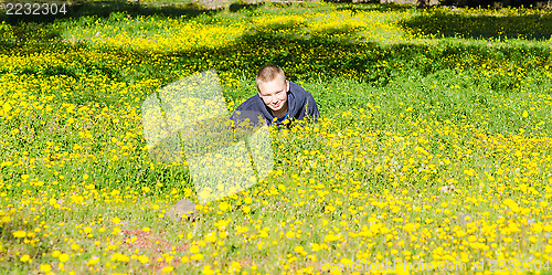 Image of Pretty boy laying on the spring flowering field