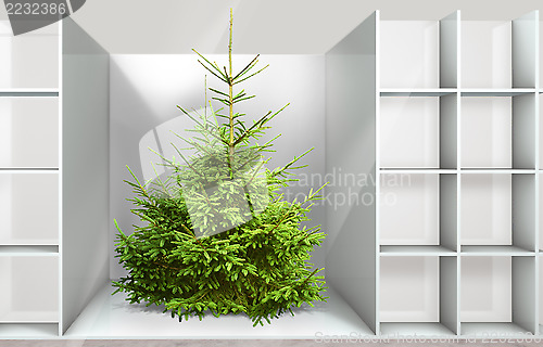 Image of Christmas tree on the shelf