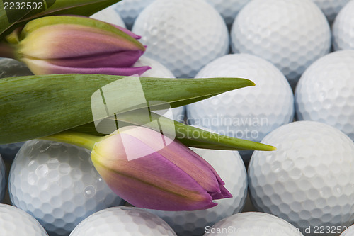 Image of Golf and flowers