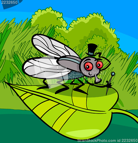 Image of housefly insect cartoon illustration