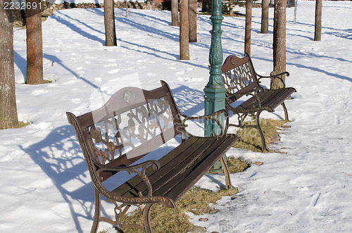 Image of retro decor benches park tree trunk snow winter 