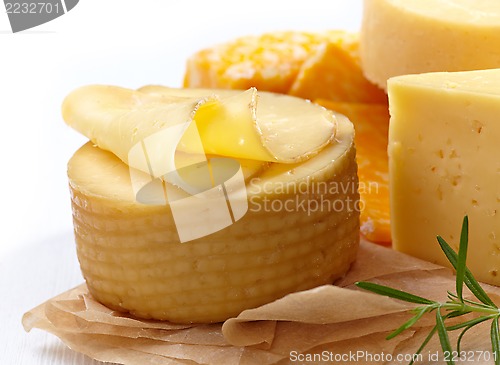 Image of Cheese closeup