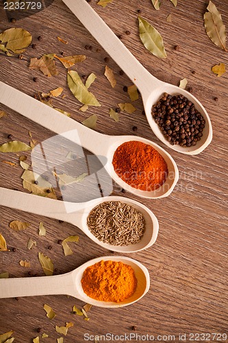 Image of spices on spoons