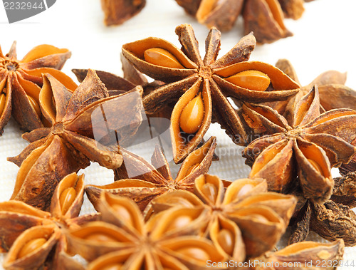 Image of Star Anise