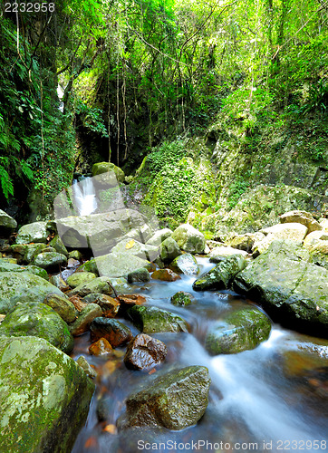 Image of Forest with waterfall