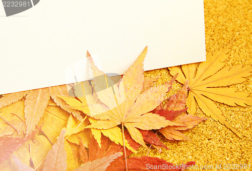 Image of Greeting card with maple 