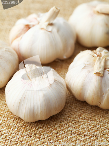 Image of Garlic 