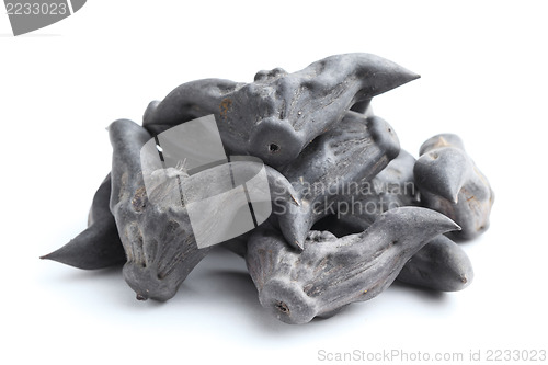 Image of Horn Shaped Water Caltrop 