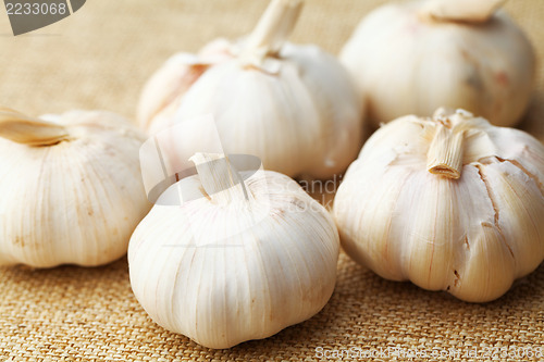 Image of Garlic on linen 