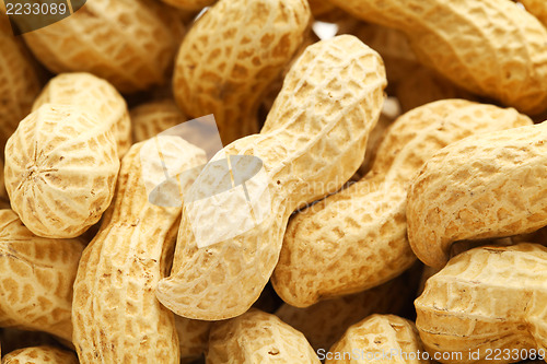 Image of Heap of peanut 