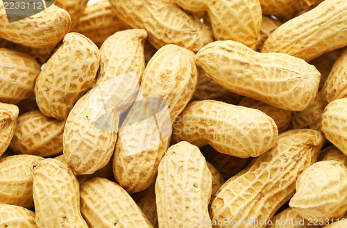 Image of Pile of peanut 