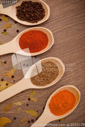 Image of spices on spoons