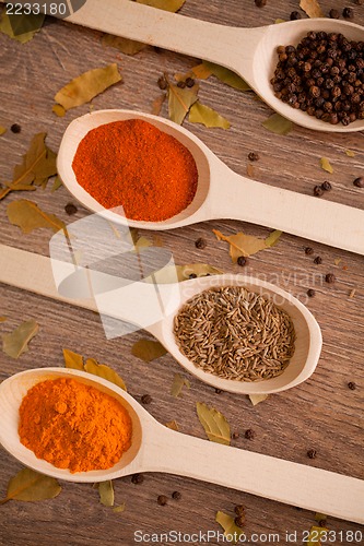 Image of spices in the spooins