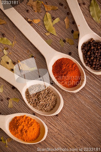 Image of spices on spoons