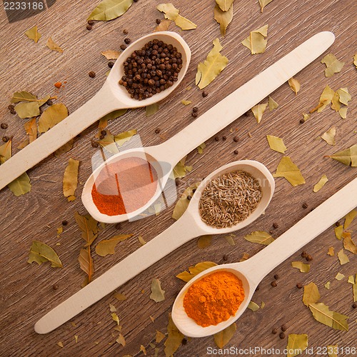 Image of spices in the spooins