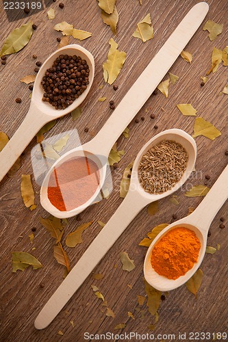 Image of spices in the spooins