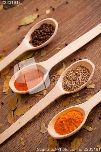 Image of spices in the spooins