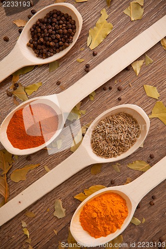Image of spices in the spooins