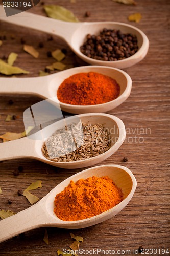 Image of Colorful spices