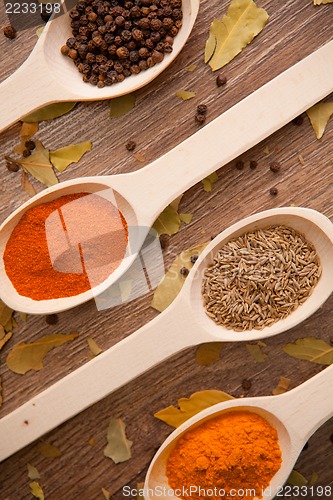 Image of spices - pepper, curry, chilli, caraway