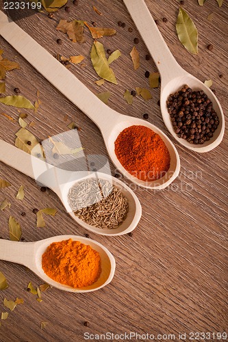 Image of spices on spoons