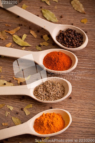 Image of spices on spoons